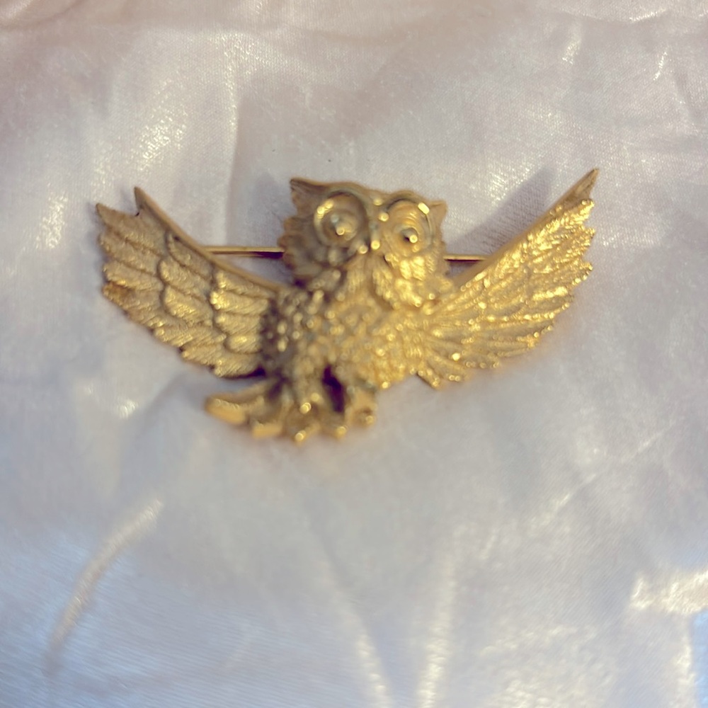 Wins spread owl brooch